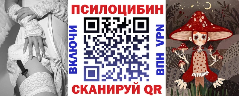 Псилоцибиновые грибы Psilocybe  Тарко-Сале 