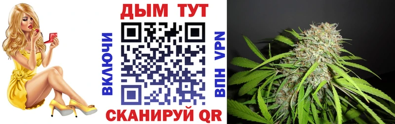 Канабис конопля  закладки  сайты даркнета наркотические препараты  Тарко-Сале 